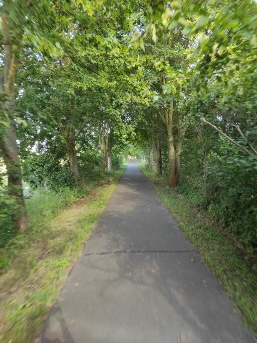 Storchennest - Ferienwohnung Am Storchenradweg Ketzür Exteriör bild