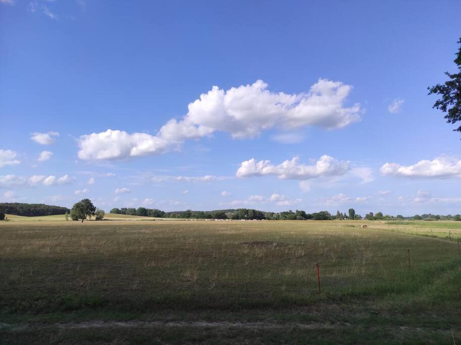 Storchennest - Ferienwohnung Am Storchenradweg Ketzür Exteriör bild