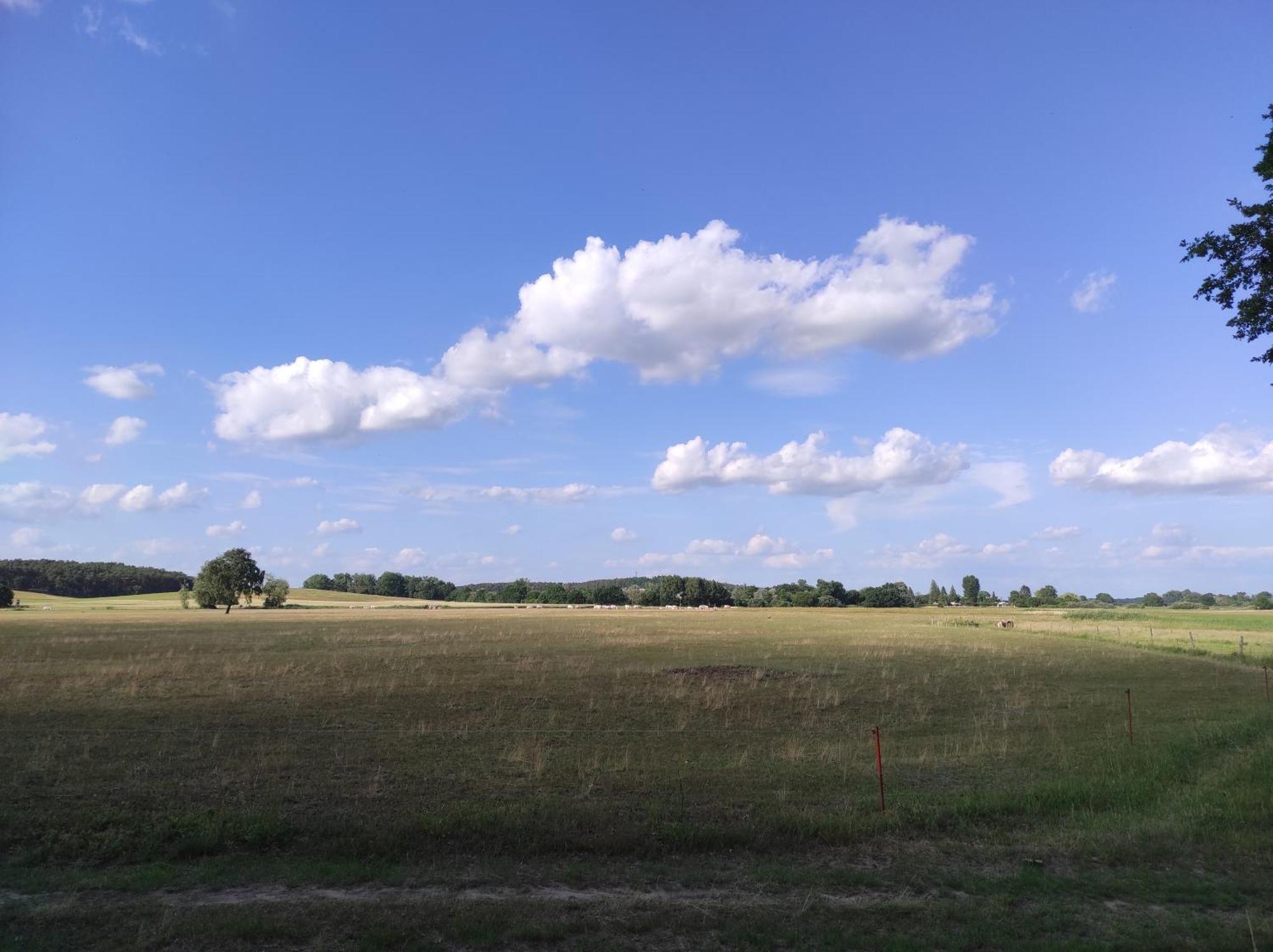 Storchennest - Ferienwohnung Am Storchenradweg Ketzür Exteriör bild