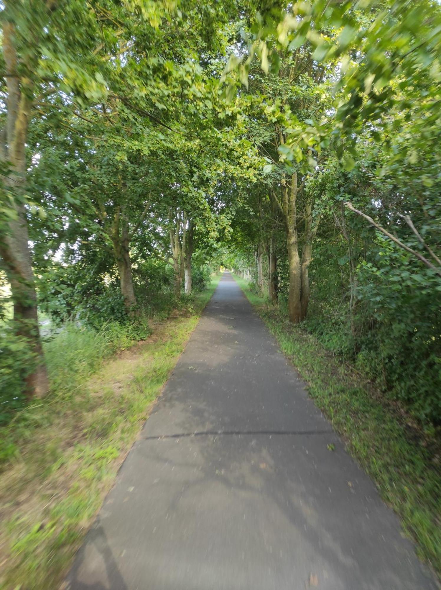 Storchennest - Ferienwohnung Am Storchenradweg Ketzür Exteriör bild